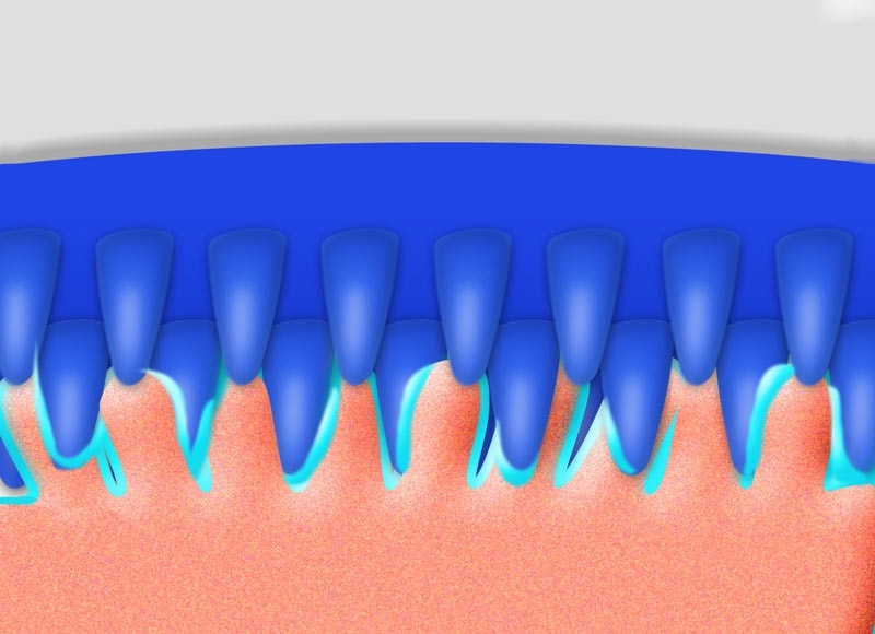 Papillen Noppen Chart