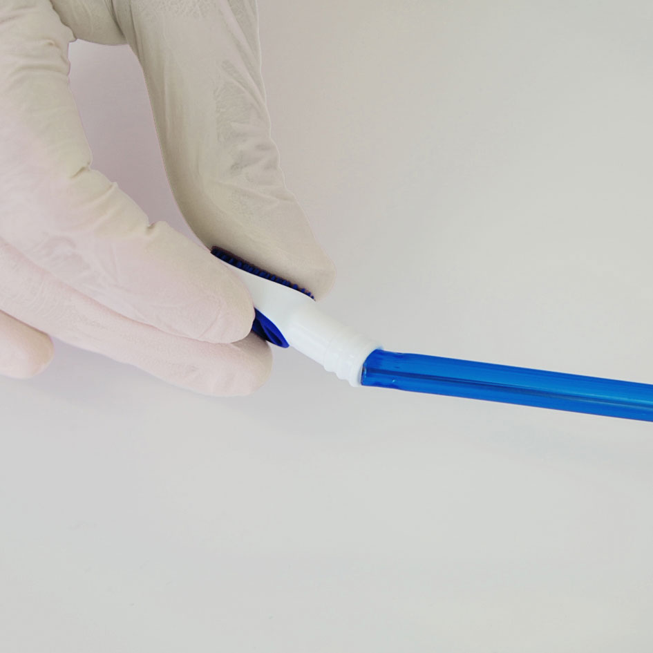 A Hand Holding A Toothbrush